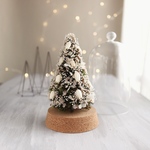 Botanical glassdome  Tree №8