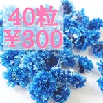 かすみ草ドライフラワー40粒セット(ロイヤルブルー)