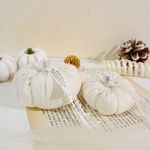 再販×9＊Cotton white pumpkin＊ホウキ付き