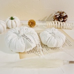 再々販＊Cotton white pumpkin＊ホウキ付きB