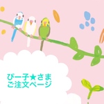 ぴー子★さま ご注文ページ