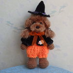 ご注文品  あみぐるみ☆トイプードル(ハロウィン)