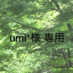 ｕｍｉ*様 専用