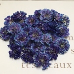 かすみ草 ドライフラワー   purple blue gradation mix