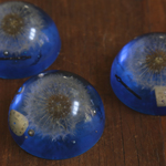 【難あり】購買部211：星の種　fig.1　<large>