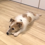 KT様専用ページ