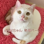 ayamiちゃん*ﾟ専用ページ