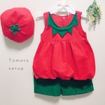 tomato🍅setup