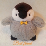 皇帝ペンギン🐧ぷくぷくコウくん🎵