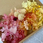 暖色系グラデーション＊千日紅＊ハーバリウム 花材ドライフラワー  花材セット