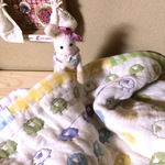 🐑　6重ケット　🐑