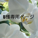 u様専用Halloween firefly【オーダー】