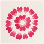 天然押し花素材  232