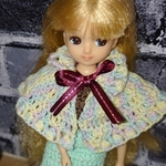 ✩.*˚専用✩.*˚