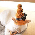 ハッピーハロウィン🎃