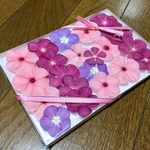 お花屋さんが作った本日のドライフラワーはニチニチソウです！