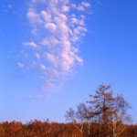 AK-223　秋色の空　A４size 縦6-042