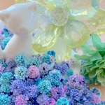 かすみ草ドライフラワー