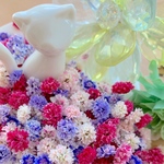 かすみ草ドライフラワー