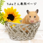 Yukaさん専用ページ