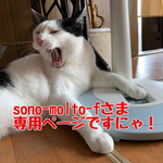 sono-molto-fさま 専用ページ