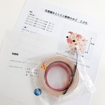 ミニぶたちゃん制作キット