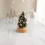 Botanical glassdome mini tree White