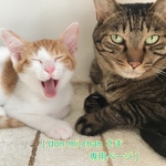 [お客様専用ページ]