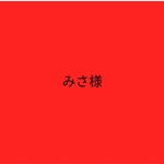 みさ様　ファスナーポーチ