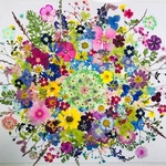 押し花 花材 素材☆フロックス、ニチニチ草、アジサイ、コデマリ他 小花MIX