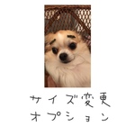 サイズ変更オプション
