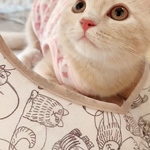 オリバーくんママ専用