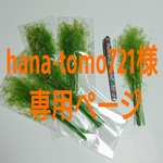 hana-tomo721様専用ページ