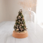   Botanical glassdome  Tree №7