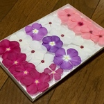 お花屋さんが作った本日のドライフラワーは日々草です！