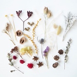 ✳︎再販開始!✳︎秋の森からのお届けもの-Botanical dry flower kit-