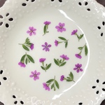 クフェア葉(押し花)