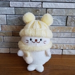 ☆ついたん☆　ニット帽＆マフラーセット(クリーム色)