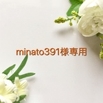 minato391様専用 ジルコニアかめピアス