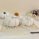 再販×10＊Cotton white pumpkin＊ホウキ付き