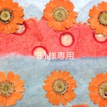 31様専用