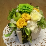 プリザーブド　ビタミンカラー