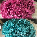 新カラー導入❣️アジサイ小分け❣️ハーバリウム花材プリザーブドフラワー