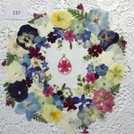 ☆押し花素材137 小花好きな方に贈る花パック☆