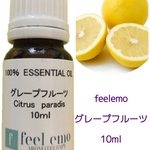 a1m4h1n3様専用　アロマストーンとグレープフルーツ 10ml・スプレー・ペパーミント