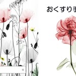 お薬手帳透明カバー付き