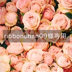 ribbonchan様専用ページ