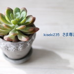 kiseki235さま専用
