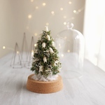  Botanical glassdome  Tree №20