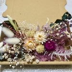 オーガンジーコロコロ千日紅とヘリクリサム＊ハーバリウム 花材ドライフラワー  花材セット